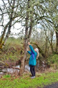 Emmaray connecting with a tree at the Tualatin Wildlife Refuge in Oregon