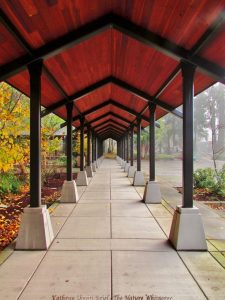Pathway to Nature photograph