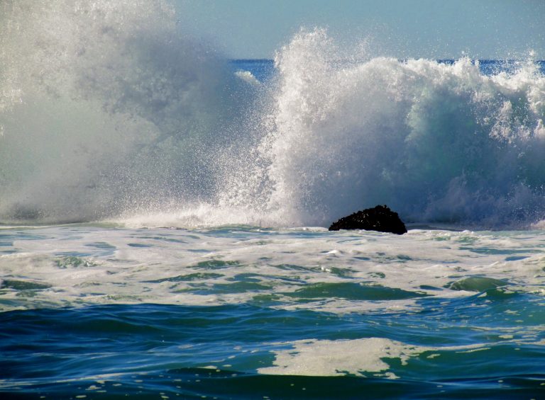 Rejoicing and Finding Balance Through Inner Understanding pt1