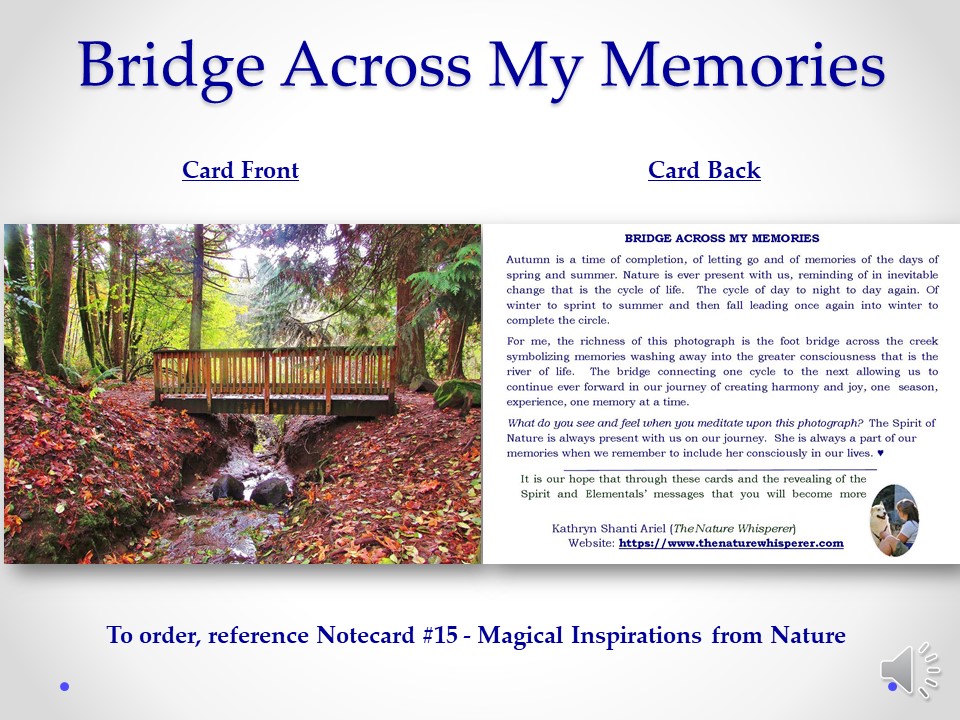 Bridge Across My Memory notecard side by side