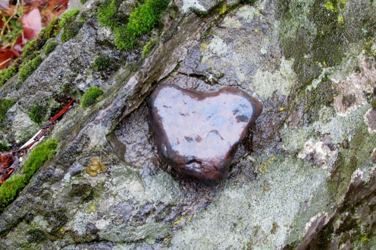 Love Over Fear - A Inner Awareness