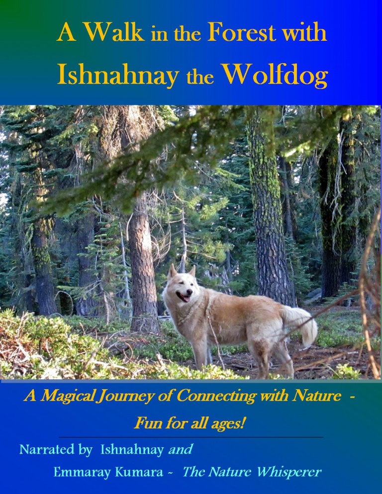 A Walk in the Forest with Ishnahnay the Wolfdog Book cover