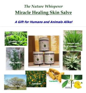 Miracle Healing Salve flyer