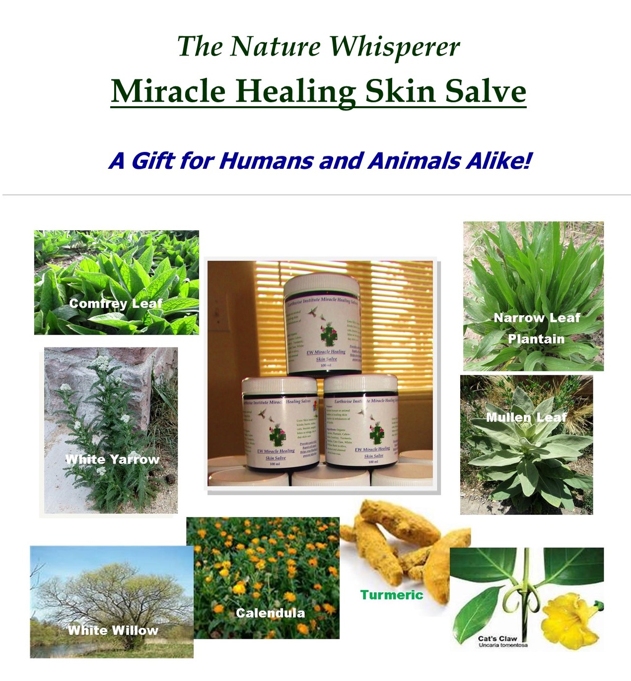 Miracle Healing Salve flyer