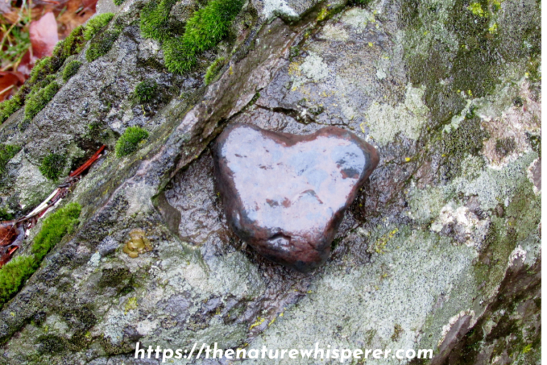 Daily Consecration Prayer for Upliftment