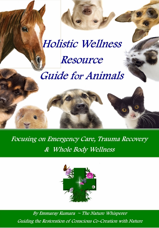 Holistic Wellness Resource Guide for Animals book cover