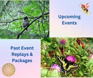 The Nature Whisperer Events & Program