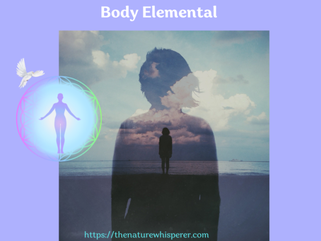 Body Elemental graphic