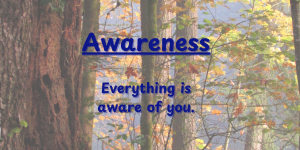 Awareness Inspirational Meme