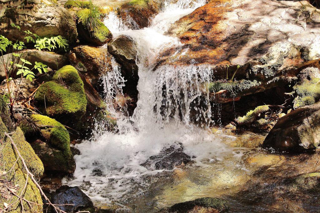 The River Magic in the water ~ Emmaray Kumara, The Nature Whisperer